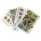 Brief | Gewicht 50-350 gram | Combinatie € 4,84 binnen NL